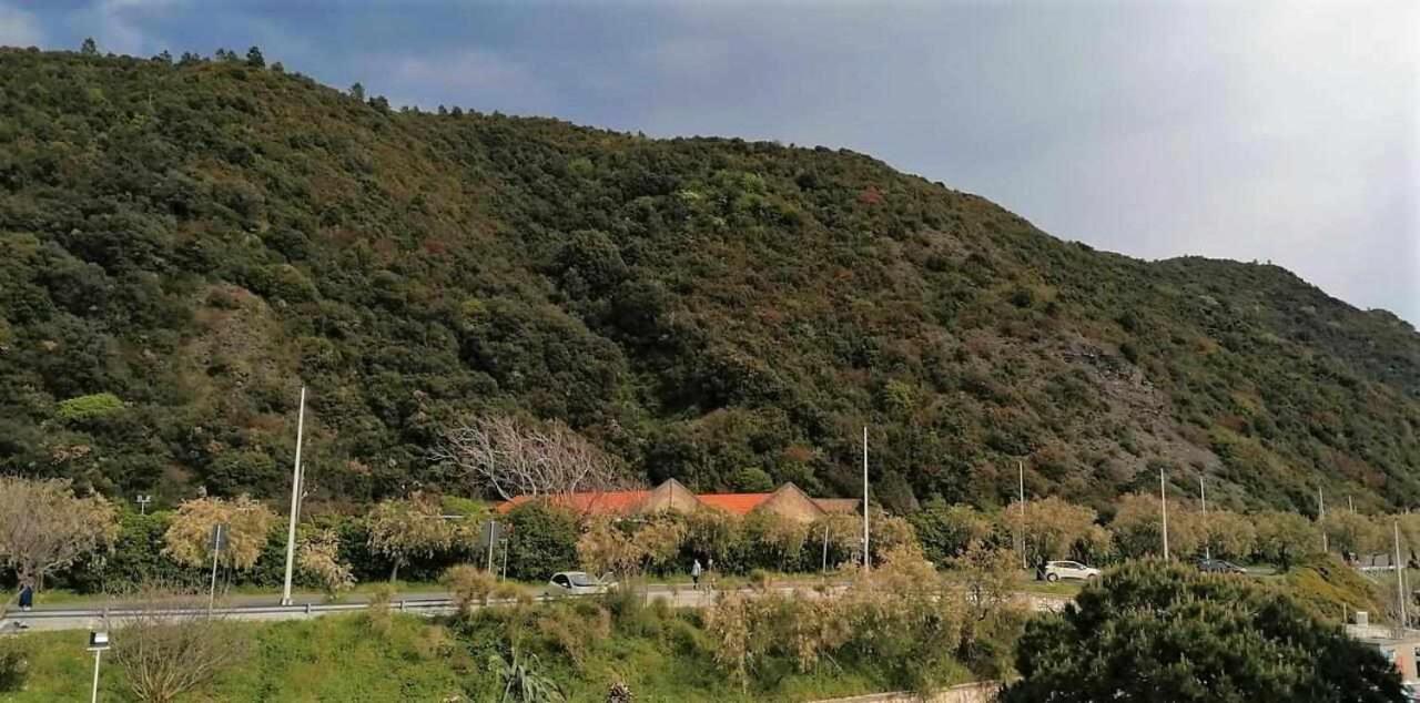 Maremosso Apartments Sestri Levante Zewnętrze zdjęcie